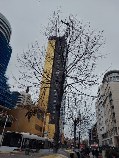 This media file captures an urban street scene in Tiranë, Albania, on what appears to be an overcast day. The foreground is dominated by the intricate network of bare branches of a large deciduous tree, suggesting winter or early spring. Another, smaller bare tree is visible further back.
In the mid-ground and background, various modern and older buildings line the street. A prominent feature is a tall, contemporary building with a striking golden or yellow facade on its lower sections and dark windows on its upper dark grey floors. To the left, another building under construction or renovation is visible, partially obscured by blue scaffolding, and features a distinctive rounded, segmented white upper structure. Other multi-story buildings with residential or commercial characteristics can be seen further down the street, showcasing a mix of architectural styles typical of a developing city.
A white bus is partially visible on the right side of the image, appearing to be parked or slowly moving along the street, alongside yellow street barriers or bollards. A few indistinct figures can be discerned in the distance near the buildings on the right, suggesting pedestrian activity, but they are not clear subjects. The sky is uniformly light grey and overcast, indicating a cloudy daytime setting without direct sunlight. There are several unreadable signs with faint text, including a red sign with white characters and a blue sign with white text, positioned on distant buildings. The overall scene depicts a common urban environment in Tiranë.