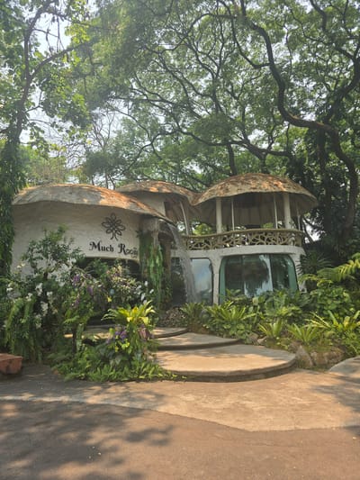 The image captures the "Much Room Cafe" in Ban Pa Daet North, Thailand. The building is an unusual, mushroom-shaped structure surrounded by lush greenery. The cafe's name is displayed on the building's facade. A pathway leads up to the building, and the cafe is nestled among trees, creating a natural environment. There are no people visible in the image. The lighting indicates it is daytime.