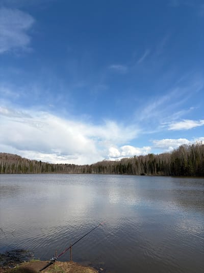 The image captures a tranquil outdoor landscape, likely in Mishkino, Russia, featuring a vast sky, a still body of water, and a dense forest lining the horizon. The photograph appears to be taken during daytime, indicated by the bright, clear lighting.

The upper portion of the frame is dominated by an expansive blue sky, dotted with elongated, wispy white clouds and some larger, scattered cumulus-like formations. These clouds reflect softly on the water's surface below.

A calm lake or large pond occupies the lower half of the image, displaying gentle ripples that catch and reflect the ambient light. The water's surface is a subdued grey-blue, mirroring the sky and creating a sense of depth.

Stretching across the middle of the frame, separating the sky and water, is a dense forest. The trees, predominantly deciduous with many bare branches, suggest the season is either early spring or late autumn. A few darker evergreen trees are interspersed, adding texture to the treeline.

In the immediate foreground on the right, a fishing rod is clearly visible. It is propped up on two sturdy sticks, with its tip extending over the water. The dark-colored rod features a reddish-orange tip and a visible reel, indicating an active fishing setup on the grassy, earthy bank.

The scene conveys a peaceful and solitary atmosphere, characteristic of a quiet day spent fishing in nature. There are no visible people or discernible text in the image.