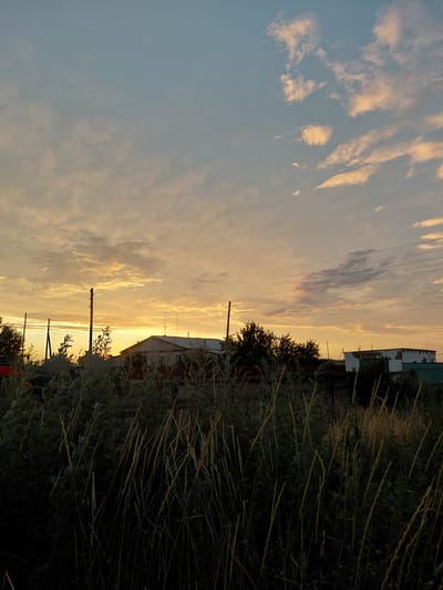 The image depicts a rural landscape at sunset in Ертіс ауылдық округі, Kazakhstan. The sky is filled with a gradient of colors, transitioning from a pale blue at the top to a warm orange and yellow near the horizon, illuminated by the setting sun. Wispy clouds are scattered across the sky, catching the golden light.
In the middle ground, several buildings are visible. One building, a single-story house with a sloped roof, appears to be made of brick with white trim around the windows. Another building, further to the right, is also single-story and predominantly white with dark trim. A green fence is visible in front of this building. Several tall wooden utility poles with overhead power lines traverse the scene horizontally, connecting to unseen structures.
The foreground is dominated by a dense growth of tall, dry grasses and other vegetation. The plants are mostly a muted green and yellowish-brown, with some stalks reaching high above others. The overall impression is of a natural, undeveloped area on the outskirts of a rural settlement, captured during the soft light of dusk. There are no people or animals visible in the frame.