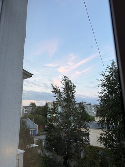 The image is a view from a window in Lysva, Russia, looking out over a residential area. The sky is a pale blue with wispy pink clouds, suggesting either dawn or dusk. In the foreground, a white textured wall and a window frame are visible on the left, partially obscuring the view. Beyond the immediate window, trees with dark green foliage dominate the middle ground, with some branches extending into the frame. Behind the trees, several apartment buildings are visible, their facades a mix of light blue and white with visible windows. A smaller building with a blue door and a gray roof is situated in the middle ground, possibly a garage or shed. A utility pole with wires is also present. The overall scene depicts a typical urban landscape in Russia, characterized by apartment blocks, trees, and utility infrastructure under a soft, atmospheric sky.
