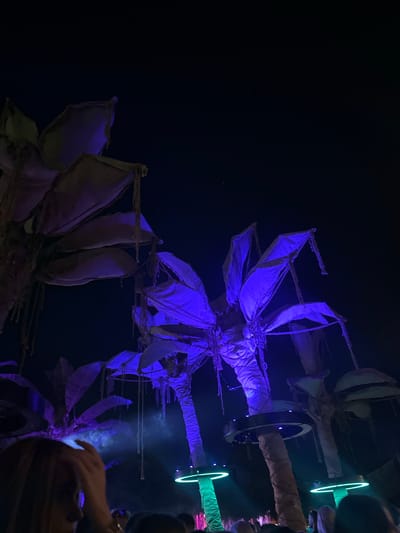 The image captures a nighttime outdoor scene with a dark sky overhead, illuminated by artificial lights in vibrant shades of purple and green. The central subjects are stylized, artificial palm trees, constructed from fabric and rope, with their fronds lit in a striking purple hue. Some of these structures have circular platforms with lights around their edges, suggesting they are part of an elaborate decoration or stage setup. In the foreground, the silhouettes of a crowd of people are visible, with a woman's head and shoulder in focus on the left, her hand touching her hair. Green circular lights are also visible at the base of some of the artificial palm trees, casting a glow on the surrounding area. The overall impression is of a festive or event atmosphere, possibly a concert or a themed party, taking place at night. While the image depicts a specific location, the provided context of Sozopol, Bulgaria, cannot be visually verified from the image alone.