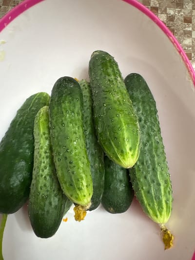 A white bowl with a pink rim contains a pile of seven green cucumbers. The cucumbers are of varying sizes and shapes, with some appearing smoother than others. Some have remnants of yellow flowers attached to their ends. The bowl is placed on a surface with a checkered pattern, likely a countertop or floor, in a setting that appears to be a kitchen. The overall lighting suggests an indoor environment.