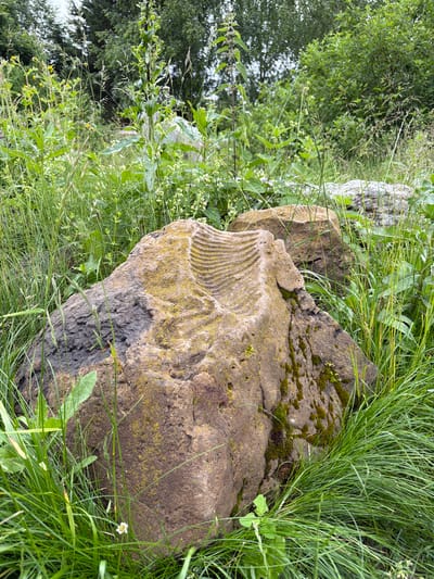 The image depicts a close-up view of two large, weathered rocks partially submerged in tall, green grass and vegetation. The rock in the foreground is brown and textured, with patches of yellow lichen and dark moss. It features a distinct, carved pattern of parallel ridges on its upper surface. A second, larger rock is visible behind and to the right of the first. The background consists of dense green foliage, including trees and various plants, under an overcast sky. The scene appears to be an outdoor natural setting. There are no people, animals, or specific identifiable structures in the image. No information about the city of Akatovo, Russia, can be derived from the visual content of this image.