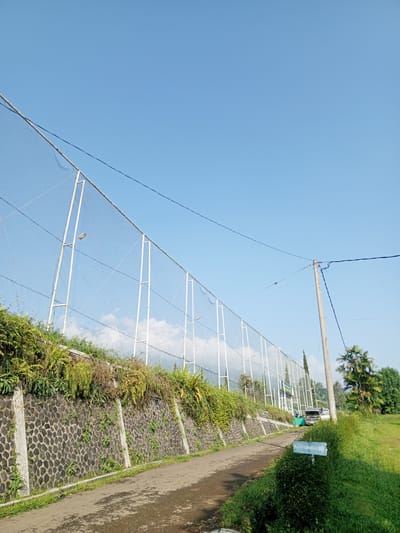 A low-angle shot depicts a paved pathway running alongside a stone wall topped with vegetation. The wall supports a tall chain-link fence with white metal supports, stretching into the distance. Behind the fence, glimpses of trees and structures are visible. The sky is clear and blue. A utility pole with wires is seen to the right, partially obscured by a tree. A sign in the foreground, partially hidden by greenery, has text written on it. The image suggests a location near a recreational area or sports field. It is impossible to pinpoint the exact location in Thalang, Laos from the image alone.