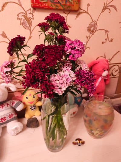 The image depicts a still life arrangement on a table, likely indoors given the lighting and wallpaper. The central subjects are a vibrant bouquet of carnations in shades of deep red, magenta, and light pink, displayed in a clear glass vase filled with water. The flowers are multi-layered and appear freshly cut.
Behind the flowers, the background features a wall with a textured, peachy-pink wallpaper adorned with a floral pattern in muted gold and brown tones. A small, framed piece of art with red and gold detailing is visible at the top of the frame, mounted on the wall.
To the left of the vase, a white plush toy resembling a rabbit or bear, wearing a knitted sweater with a red snowflake pattern, is partially visible. Next to it is a yellow plush toy with a smiling face and black and white striped bowtie. A small, dark, rough-textured stone sits on the table in front of these toys.
To the right of the vase, a round glass bowl filled with water and colorful gel beads is present. A small, light-colored toy scorpion is visible within the gel beads. In front of this bowl, a tiny toy resembling a brown and yellow airplane is placed on the table. A larger, pink crocheted rabbit toy with a white ribbon tied around its neck stands to the right, partially obscured by the flowers.
The overall setting suggests a cozy, domestic environment. The lighting appears to be artificial, possibly from indoor lights, creating a warm ambiance. There are no clear indicators of the time of day or weather. The image is a still photograph, so no activity is taking place. The only visible text is a small label on the white plush toy, which is too blurry to read. The location context is Cheboksary, Russia.