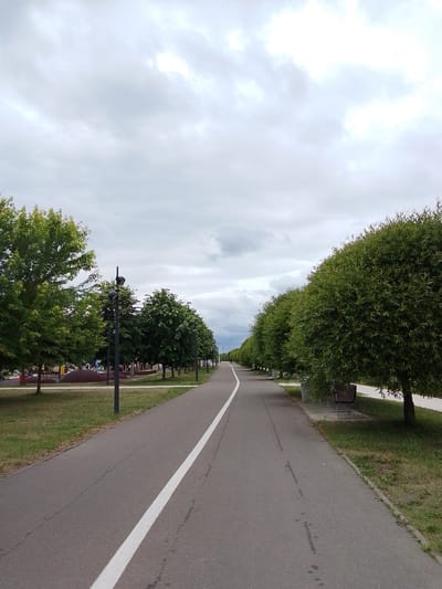 A straight, paved pathway, marked with a white line down the center, leads the viewer into a park-like setting. The path is lined with trees on both sides, creating a shaded, natural avenue. On the left, a line of trees with broad green leaves stands tall, with glimpses of what appears to be a playground or recreational area behind them. Lampposts are visible among these trees.
On the right, a row of trees with denser, more rounded canopies are pruned to create a uniform, almost sculpted appearance. Benches are nestled along this side, offering places for rest. The ground is covered in grass, with some areas showing signs of wear.
The sky above is overcast with heavy, grey clouds, suggesting a possibly cool or drizzly day. The lighting is diffused, indicating it is likely daytime, though the sun is not directly visible. The overall mood is peaceful and serene, an inviting scene for a walk or leisurely activity. There is no visible text in the image. The location context of Orekhovo-Zuyevo, Russia, places this scene within a Russian urban park or waterfront area.