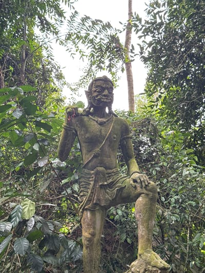 This image depicts a stone statue of a grotesque figure, likely a demon or deity, partially covered in moss and surrounded by lush, green foliage. The statue appears to be an ancient artifact, possibly from a temple or outdoor shrine, set within a natural jungle environment. The figure is posed in a dynamic stance, with one arm raised as if to shield its face or ward off an unseen threat. Its facial features are sharp and intimidating, with an open mouth and menacing eyes. The statue's body is muscular and adorned with traditional clothing or armor, which is also weathered and overgrown. The surrounding vegetation is dense, with large leaves and branches creating a sense of an overgrown, hidden location. Sunlight filters through the canopy, casting dappled light on the statue and the surrounding plants, suggesting it is daytime. The overall mood is one of mystery and antiquity, hinting at the spiritual or cultural significance of the site in Ko Samui, Thailand. There is no visible text in the image.