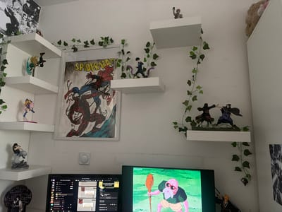 The image captures a room decorated with anime figurines and posters, suggesting a fan's personal space. Several white shelves are mounted on a plain white wall, adorned with artificial ivy vines that add a touch of nature to the otherwise minimalist decor.
On the shelves, various anime characters are displayed as figurines. On the leftmost shelf, a female figurine with blonde hair in a pink outfit is visible. The shelf above it holds another figurine, this one appearing to be a male character with green hair. Further up on the same wall, a framed poster featuring Spider-Man and Carnage is prominently displayed.
To the right of the Spider-Man poster, another shelf holds two figurines of male characters in dynamic poses, one wearing a black outfit and the other in blue. Above them, a smaller figurine of a character with brown hair is placed on a higher shelf. Another shelf below the Spider-Man poster features a figurine of a male character with dark hair and purple tentacles.
In the foreground, two computer monitors are visible. The left monitor displays what appears to be a streaming platform interface with chat logs and user lists. The right monitor shows a scene from an anime, featuring a character with pink skin, a large nose, and glasses, holding a wooden staff. The anime title "Anime Game" is visible at the top of the screen.
Other decorative elements include a circular black cutout with a female anime character on the lower left and a portion of a teddy bear peeking from the top right corner of the frame. The overall impression is one of a carefully curated display of anime memorabilia within a domestic setting. The lighting suggests it is daytime.