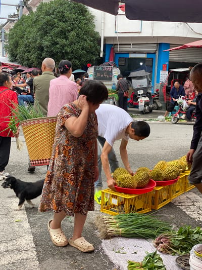 This is a street market scene in Chongzhou City, China, featuring an outdoor vendor stall. In the foreground, a woman wearing a floral dress and beige crocs stands with her hand to her head. A small black dog walks to her left. In front of the woman, a man in a white t-shirt is tending to several durians displayed in red plastic bowls atop yellow plastic crates. Bunches of green onions and other leafy vegetables are laid out on a white cloth on the ground. In the background, other market-goers are visible, some under umbrellas, and several motorbikes and a small three-wheeled vehicle are parked. A large, leafy tree is prominent in the upper left of the frame, and market awnings are visible overhead. The ground is paved asphalt with white painted lines. A sign with Chinese characters and pricing (10元/4斤) is displayed on a whiteboard in the background.
