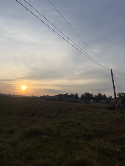 The image depicts an open field in Gitothua ward, Kenya, at sunset. The sun, a bright orange orb, is low on the left horizon, illuminating the sky with yellow and orange hues that transition to pale grey and light blue overhead. Scattered stratiform clouds are visible across the sky.
The foreground and mid-ground consist of an expansive, uncultivated field covered in dry, sparse green and brown grass. Towards the center-left of the field, a small, light-colored object, possibly an animal, is indistinctly visible. On the right side, a weathered wooden utility pole stands vertically, with three dark utility wires extending diagonally across the upper frame, connecting to the pole. Near the base of the utility pole, a segment of blue piping is present on the ground.
In the background, along the distant horizon, a cluster of buildings, appearing to be residential structures of varying sizes and states of completion, are silhouetted against the sky. Dark green trees and foliage are interspersed among these structures. No human figures or active vehicles are discernible.