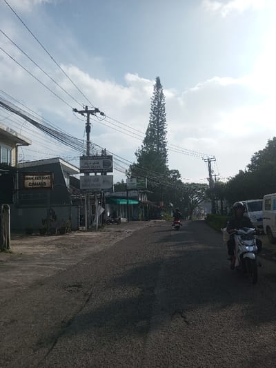 A street scene captures two motorcycles in motion, one near the camera with a driver and passenger, and another farther down the road. Shops line the street's left side, indicated by several signs in both English and another language. A tall, slender tree stands prominently in the background, reaching towards a sky dotted with clouds. Utility poles and wires crisscross above the road. The pavement is dark and appears slightly worn.