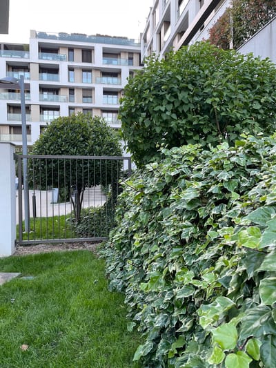A photo taken in Vozdovac Urban Municipality, Serbia, displays a gated entrance to a pathway. The gate is metallic and of a simple horizontal bar design. Green grass flanks the right side of the gate. Bushes, one with variegated leaves, are on either side and above the gate. A white modern building stands behind and to the left of the scene. The sky is partly visible in the upper left corner. A lamp pole is visible in the bottom left corner.