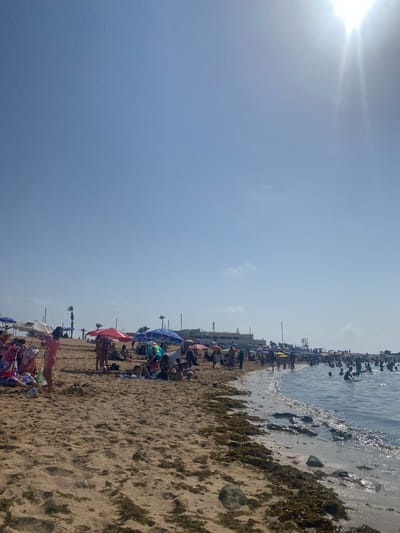 The image captures a crowded beach scene in Harhoura, Morocco, under a bright, sunny sky. Numerous beach umbrellas, in various colors and patterns, are set up on the sandy shore, providing shade for the beachgoers. People are scattered across the beach, some sitting under umbrellas, others standing or walking. In the water, a significant number of people are swimming and wading. The shoreline is visible with some rocks and seaweed. In the background, a building complex and some palm trees can be seen, suggesting an urban or developed coastal area. The sun is shining brightly, casting reflections on the water and creating a sense of a warm, active day at the beach.