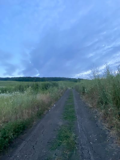The image depicts a dirt road cutting through a rural landscape under a cloudy, twilight sky. The road is dark and appears to be slightly rutted, with grass growing through the edges and in the center. On either side of the road, tall grasses and wildflowers are visible, some of which are dry and brown, suggesting late summer or early autumn. In the background, a dense line of trees forms a dark horizon against the lighter sky. The sky itself is filled with a mix of dark and light gray clouds, with hints of blue peeking through. The overall atmosphere is subdued and natural, indicative of a remote, undeveloped area. The scene does not contain any people, buildings, or urban elements, strongly suggesting it is located in a rural setting outside of a populated area. Given the context of the city of Horodca, Moldova, this scene likely represents the countryside surrounding the town.