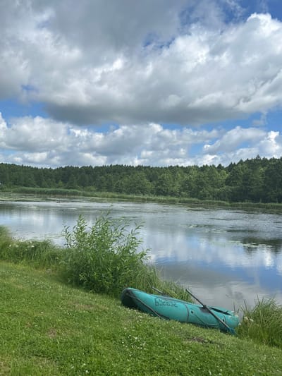 A tranquil scene unfolds on the edge of a wide, placid river, under a dramatic sky filled with billowing clouds. The river, reflecting the sky above, is fringed by a dense, verdant forest that stretches across the horizon. Closer to the foreground, tall reeds and lush green grass line the riverbank. On the grassy bank, a teal-colored inflatable boat with oars rests near the water's edge. The overall impression is one of natural beauty and peaceful solitude.