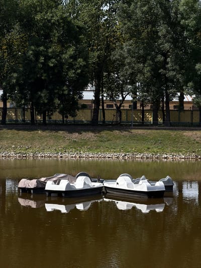 This is a vertical, high-angle shot taken from a slightly elevated position, looking down at a canal or small river in Brest, Belarus. The scene is divided into two distinct halves by a low, rocky embankment and a dark metal fence.
On the left side, a dense canopy of mature green trees dominates the frame. Their leaves are full, suggesting a warm season, likely late spring or summer. Behind the trees, a light-colored building with a light-colored roof is visible, hinting at an urban or park setting. The trees cast shadows on the ground, indicating it's likely daytime, with the sun positioned in a way that creates these shadows.
The right side of the image is the body of water, which appears murky brown and somewhat still, reflecting the elements on the left. Several white paddle boats are moored together, their smooth, curved surfaces catching the light. Their reflections are visible in the water, distorted by the gentle ripples. The boats are empty, suggesting no immediate activity or event is taking place; they are simply docked.
The overall mood is peaceful and serene, with the natural elements of trees and water contrasted with the man-made structures of the fence and boats. The lighting suggests a bright, possibly sunny day, but with shadows indicating the sun is not directly overhead. There is no visible text in the image.