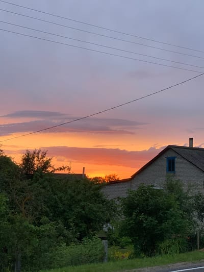 The image depicts a rural scene at sunset in Відзаўскі сельскі Савет, Belarus. A brick house with a dark roof and a blue-trimmed window is visible on the right side of the frame, partially obscured by dense green foliage. A chimney protrudes from the roof. The sky above is a gradient of purple and pink, transitioning to vibrant orange near the horizon where the sun is setting. Several power lines stretch horizontally across the upper portion of the sky. The foreground consists of a lush, green, overgrown yard with various types of trees and plants. A hint of a paved road with a white line is visible at the very bottom right corner of the image. There are no people or animals in the frame.