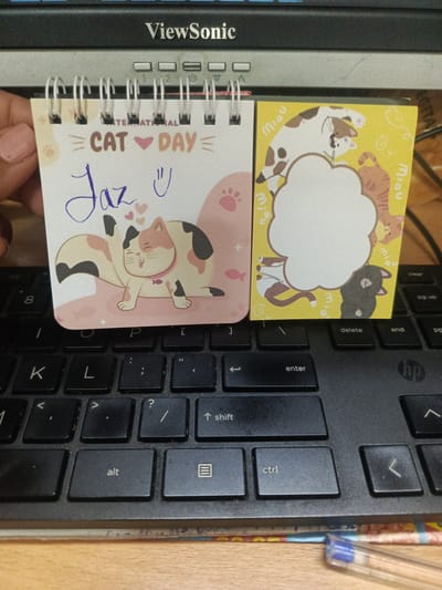 The image shows a close-up of a black laptop keyboard, with a monitor screen above. Two small notepads connected with metal rings are placed on the keyboard. The notepad on the left has a cat-themed design, featuring a drawing of a cat and the words "CAT DAY" with the name "Jaz" written in blue ink above the cat. The notepad on the right has a yellow background with drawings of cats and speech bubbles containing the word "Miau." A light-skinned hand is visible holding the left notepad. A blue pen is partially visible at the bottom edge of the image. The location of the image is not indicated in the content.