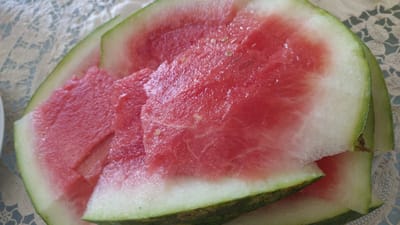 This media file features several slices of fresh watermelon, artistically arranged on a light-colored, patterned tablecloth. The watermelon slices display vibrant pink flesh, transitioning to a bright white rind and a dark green exterior. Some slices reveal small, scattered black seeds, typical of the fruit. The lighting suggests an indoor setting, possibly a home, with natural light illuminating the scene. The close-up perspective emphasizes the juicy texture and refreshing appearance of the watermelon. There are no people or specific activities depicted, focusing solely on the fruit itself. The setting appears to be a table covered with a lace-like tablecloth, suggesting a meal or a snack. The image evokes a sense of summer and freshness, hinting at a relaxed and pleasant moment. There is no visible text in the media file.
