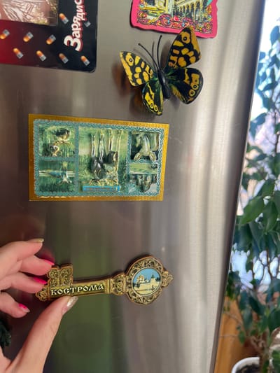 This media file shows a close-up of a stainless steel refrigerator door adorned with several magnets. The subjects are various decorative magnets and a hand.

The magnets include:
*   A colorful butterfly magnet with yellow and black markings.
*   A rectangular magnet with a golden border, featuring a series of framed scenes of deer in a natural, green environment.
*   A decorative magnet shaped like an ornate golden key, with an oval picture at the top depicting a building with domes. Visible text on the key reads "КОСТРОМА".
*   A black rectangular magnet with red and white text and small capsule-like images. The text appears to be "Зарядна".

A person's hand, with manicured nails painted pink and gold, is visible in the lower right corner, touching the key-shaped magnet. The background shows a blurred image of green foliage and possibly white flowers, suggesting the refrigerator is in a home or office setting with plants. The lighting indicates it is daytime. There are no overt indications of weather or strong emotions. The text "КОСТРОМА" on the key magnet suggests a connection to the city of Kostroma, Russia, a location context provided for Krasnoe-na-Volge, Russia, which is in the Kostroma Oblast.