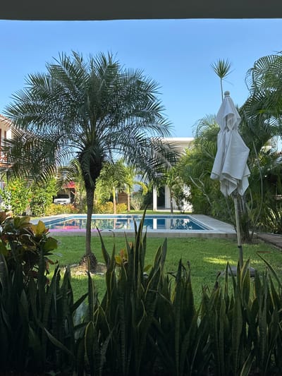 The image shows a tropical courtyard with a swimming pool and lush vegetation. A palm tree stands prominently in the foreground, with a white umbrella folded and leaning against a pole to the right. The swimming pool is rectangular with a light-colored tiled edge, and the water is a clear blue. In the background, a white building with a light-colored roof is visible, surrounded by more palm trees and green foliage. The sky is clear and blue. The scene suggests a resort or a private residence in a warm climate, likely Acapulco, Mexico, given the tropical vegetation and architecture. There are no people visible in the image.