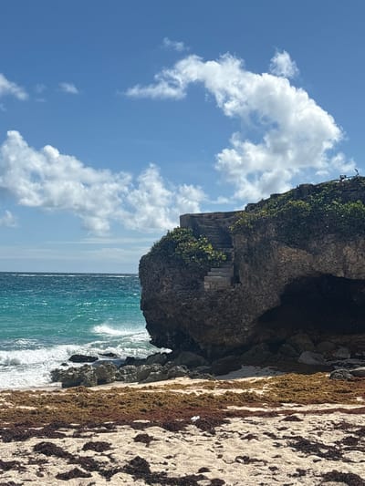 This image depicts a coastal area in Wellhouse, Barbados. The scene is observed under a bright blue sky marked by scattered white cumulus clouds. To the left, the Atlantic Ocean displays a gradient of turquoise to deep blue water, with white-capped waves breaking near the shore. A prominent dark grey rock formation, resembling a cliff, occupies the right and central-right portions of the frame, extending into the ocean. Integrated into the rock face are a series of weathered stone steps leading upwards to a flat, elevated platform. The rock formation is partially covered with dense green vegetation. A dark recess or cave-like overhang is visible at the base of the formation on the far right. The immediate foreground consists of a sandy beach, extensively covered with accumulated brown and dark red sargassum seaweed. Scattered rocks are visible at the interface of the sand and water. No human figures or observable interactions are present within the frame.
