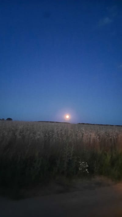 A full moon is visible in the dark blue twilight sky above a field of dry grass. The moon is round and illuminated, with a slightly orange hue. The field extends to the horizon, with a dark line of trees or bushes in the distance. The foreground is dark and indistinct, possibly a road or path. The overall impression is one of a calm, natural landscape at dusk. The location is the rural area of Slavyenski Sel'ski Sovet, Belarus.