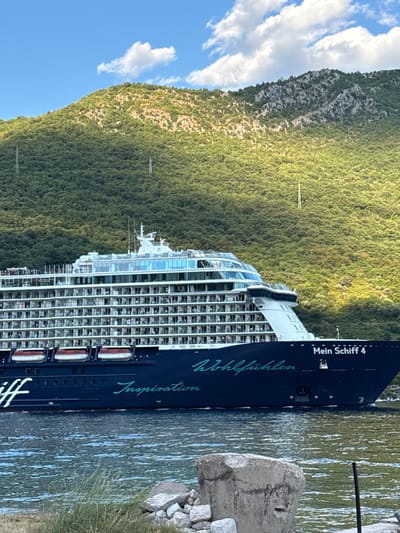 An exterior medium shot captures the cruise ship "Mein Schiff 4" sailing in the Bay of Kotor near Lepetane, Montenegro. The ship, predominantly navy blue, is docked in calm, green-hued water. It features multiple decks filled with white balconies, with some people visible on the upper decks. The ship's name, "Mein Schiff 4," is emblazoned on its hull, along with cursive lettering that reads "Wohlfühlen" and "Inspiration." In the background, a steep, densely forested green mountain rises dramatically, with hints of rocky outcrops. The sky above is a clear blue with scattered white clouds. In the foreground, the edge of a rocky shoreline is visible, with some grass and weathered concrete structures. Power lines and pylons are subtly integrated into the mountain landscape.