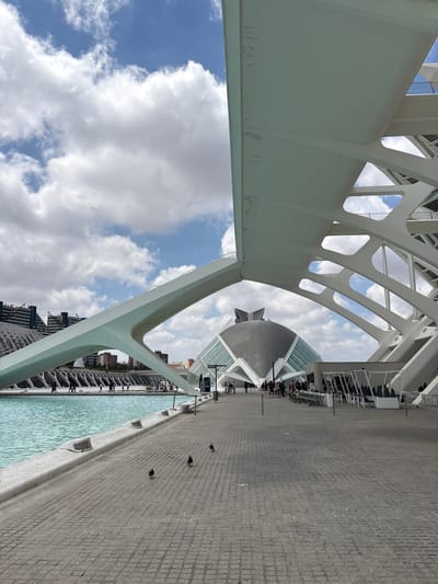 This media file captures a scene at the City of Arts and Sciences in Valencia, Spain. The image is oriented vertically, with the sky and clouds filling a significant portion of the frame. A distinctive white architectural structure, characterized by its sweeping curves and geometric openings, dominates the foreground and midground. This structure appears to be a bridge or an elevated walkway.
In the background, several modern buildings are visible, including a prominent dome-shaped structure with a metallic or dark-colored exterior, and other buildings with glass facades and white structural elements. These architectural styles are characteristic of the City of Arts and Sciences.
On the right side of the image, a paved walkway made of grey cobblestones stretches into the distance. A shallow body of water, appearing bright turquoise, runs alongside the walkway. Several people are present, walking along the paved area and seated at tables under canopies, suggesting an outdoor cafe or seating area. Some pigeons are also visible on the paved walkway.
The sky is a mix of blue with scattered white, fluffy clouds, indicating fair weather. The lighting suggests it is daytime, likely mid-morning or afternoon, given the brightness and the shadows cast. The overall atmosphere is one of modern architecture and public space, with people enjoying the surroundings. There is no visible text in the image.