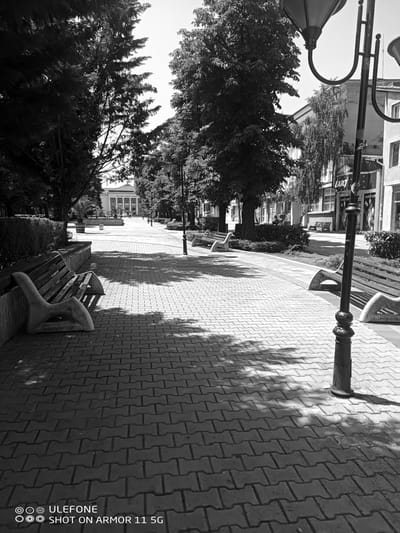 The black and white image captures a wide, tree-lined pedestrian pathway in Karnobat, Bulgaria, leading towards the Community Center "Dimitar Polyanov" in the background. The path is paved with interlocking grey pavers, showing distinct shadows from trees and a prominent street lamp in the foreground on the right.

In the immediate foreground, a concrete and wooden park bench is visible on the left, featuring a stylized concrete support resembling a reclining figure. A similar bench is partially visible on the right. The path is bordered by low, trimmed hedges and mature trees on both sides, creating a corridor effect. Sunlight casts strong, dappled shadows across the pavement.

In the midground, the pathway extends, flanked by additional benches and dense foliage. Several indistinct human figures are discernible walking on the path towards the community center. On the right side, behind the trees, parts of buildings with storefronts are visible, including one sign clearly displaying "ART".

The background is dominated by the two-story neoclassical-style building of the Community Center "Dimitar Polyanov," identifiable by the Cyrillic inscription "ЧИТАЛИЩЕ ДИМИТЪР ПОЛЯНОВ" above its entrance. The building has multiple windows on the upper floor and a series of arched features on the lower level, topped with a sloped roof. The sky is bright, indicating a sunny day. No direct interactions between individuals are visible.