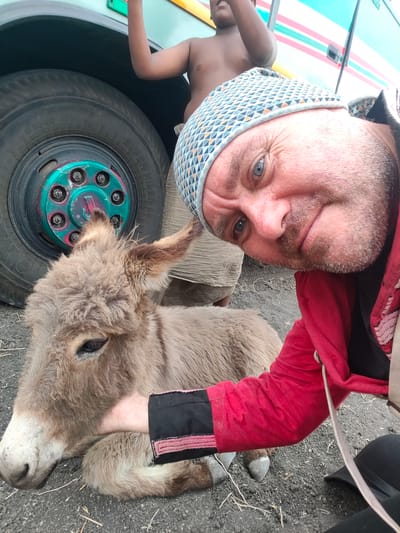 An outdoor scene in Kottalapalli, India, captured in a close-up, selfie-style view, features an adult male, a child, and a donkey positioned in front of a large vehicle. The adult male, with light skin, blue eyes, and a short beard, is in the immediate foreground, kneeling or crouching. He wears a light-colored geometric-patterned skullcap and a red long-sleeved garment with black cuffs. His left hand is petting the neck of a light brown, grey-muzzled donkey that is lying calmly on its side on the dark, unpaved ground. The donkey's light-colored hooves are visible. The adult male looks directly at the camera with a slight smile. Partially visible behind him and the donkey is a shirtless child with dark skin, wearing a light-colored patterned garment around his lower body, standing beside a light blue vehicle. The vehicle, likely a bus or truck, displays horizontal red and white stripes. A black tire and a teal-colored wheel hub with six visible lug nuts, some marked with pinkish-red, are prominent parts of the vehicle. The ground consists of dark earth with scattered dry vegetation fragments.