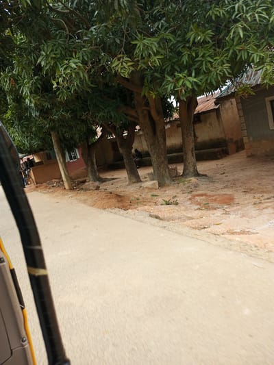 In Barakin Angundi, Nigeria, an outdoor scene depicts a dirt road with a concrete shoulder in the foreground, on which a part of a vehicle is visible on the left. Beyond the road, a cluster of mature trees with dense green foliage dominates the middle ground. To the right of the trees, structures that appear to be homes or shops are visible, with corrugated metal roofs and some mud or concrete walls. One building has a window with a light-colored frame and a dark object inside. In front of the buildings, the ground is a mixture of dirt and sand, with some scattered debris, including a woven basket. A person is seated on a bench or low wall to the far right, partially obscured by the trees. Further to the left, another person stands near a building. The overall impression is a snapshot of a rural or semi-urban Nigerian setting.