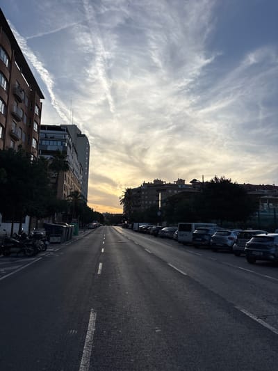 This media file depicts a street scene in Valencia, Spain, likely during the late afternoon or early evening. The image is oriented vertically, making the sky appear on the left and the street on the right.
The sky is a prominent feature, filled with wispy white clouds, some of which form distinct contrails, suggesting recent airplane activity. The light filtering through the clouds indicates the sun is low on the horizon, casting a warm glow and creating a soft, diffused light.
The scene includes a street lined with parked cars and some motorcycles. Buildings of varying heights and architectural styles flank the street. Some buildings are modern with balconies and large windows, while others appear older with more traditional brickwork. Trees, including palm trees, are interspersed among the buildings, adding greenery to the urban environment.
The street itself is paved and marked with white lines, indicating traffic lanes and parking areas. The overall impression is one of a typical urban street, possibly in a residential or commercial district, during a calm part of the day. There is no discernible activity of people, and the objects are primarily vehicles and buildings. The atmosphere feels peaceful and serene, with the gentle light and cloud patterns contributing to a sense of tranquility. No visible text is present in the image.