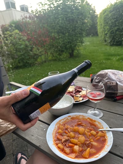 The image shows a picnic scene. A hand holds a bottle of "AN 26" wine that says "Prodotto in Italia" (product of Italy). On the wooden picnic table there is a bowl of goulash with a spoon in it, a wine glass with strawberries, a bag of charcoal, and a platter of salami and cheese. The background shows a garden with green bushes and some flowers. Part of a building is visible on the lower left side. Part of a person's leg with flip-flops is on the lower right side. The location of the photo is most likely not in La Louvière, Belgium, since the wine bottle label explicitly states that the product is from Italy.