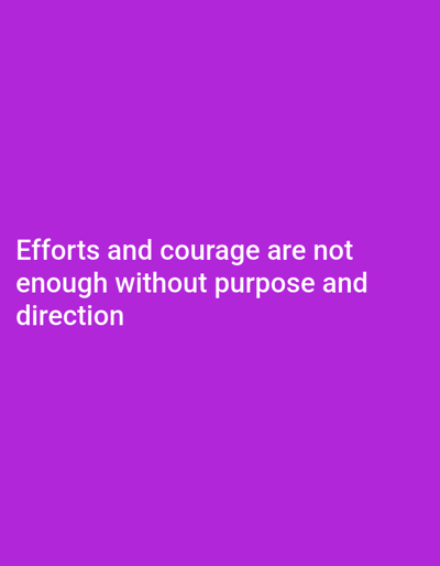 The image is a plain purple background with white text. The text reads: "Efforts and courage are not enough without purpose and direction." There are no people, objects, actions, interactions, or environmental details visible in the image. The location in the city of Serti, Nigeria, is not relevant to the visual content of the image.