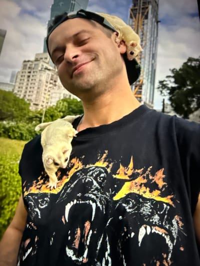 A close-up selfie shows a person wearing a black t-shirt and a baseball cap. Two small, light-colored animals, possibly sugar gliders, are perched on the person's shoulder and ear. The person has their eyes closed and is smiling. In the background, blurred city buildings and trees are visible. One building appears to be under construction, suggesting an urban environment. The greenery in the background suggests an outdoor setting, possibly a park or public space within a city. The overall impression is a casual, lighthearted moment captured with pets in an urban landscape. The image does not provide specific landmarks to pinpoint the location in Taipei, Taiwan.