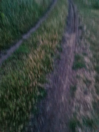The image is a motion-blurred, high-angle shot of a dirt path through tall grass. The path appears to be in a rural or semi-rural setting, possibly a park or a natural area. The grass is a mix of green and dry, yellowish hues, suggesting it might be late summer or early autumn. The path itself is a muted purple-brown color, indicating it is made of packed dirt. There are no people or animals visible in the image. The lighting is dim, suggesting it might be dusk or a heavily overcast day. The motion blur indicates that the photo was taken while moving, possibly from a vehicle or while walking quickly. Based on the visual cues, the location cannot be determined with any certainty, and there is no information that would suggest it is in the city of Lima, Peru.
