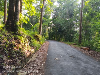 The image shows an asphalt road winding through a dense, green forest in Kuningan, Indonesia. The road is bordered on the left by a vegetated embankment with a concrete drain and on the right by a line of fallen leaves and scattered logs. Tall trees with lush green foliage dominate the scene, with sunlight filtering through the canopy and casting dappled shadows on the road and ground. The sky is mostly obscured by the trees. The timestamp in the lower left corner indicates the photo was taken on June 20, 2026, at 08:25, and the location is identified as Kecamatan Kuningan, Indonesia. There are no people or animals visible in the image.