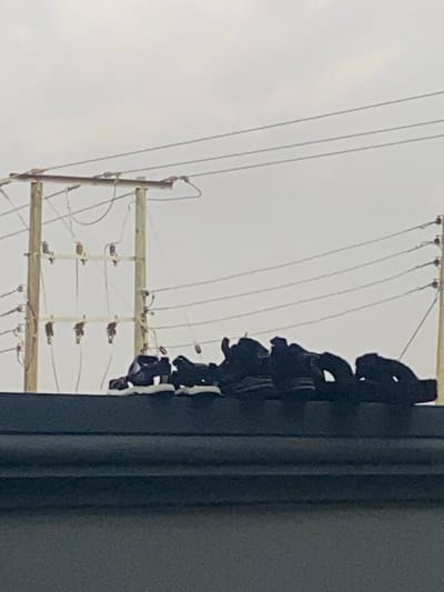 A stark image captures power lines with a wooden support structure stretching across a cloudy sky. Parallel wires run from the top of the frame toward a pole, lined with black objects, possibly shoes, hanging in a row. The pole is partially obscured by a gray surface, and the overall scene exhibits a somber tone due to the overcast lighting and the unusual sight of the hanging objects.