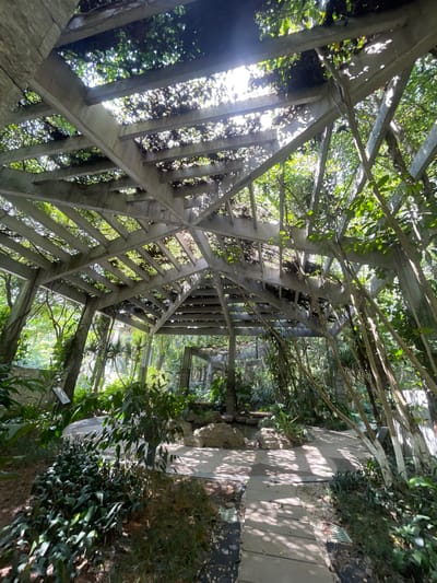 This image depicts an outdoor pavilion structure with a concrete frame covered in vines and foliage. The pavilion has a geometric, angular design, with beams supporting a roof of interwoven vegetation that allows dappled sunlight to filter through. The scene is set within a lush, green environment, suggesting a park or garden setting. In the foreground, there are stone pathways and various types of plants, including leafy bushes and slender trees. The overall impression is one of a tranquil, nature-integrated architectural space. The location is identified as Panyu District, China. There are no people visible in the image.