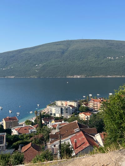 The image captures a sun-drenched scene in Đenovići, Montenegro, showcasing a coastal town nestled at the base of a lush, verdant mountain. The foreground is dominated by a cluster of residential buildings with terracotta tile roofs, interspersed with dense green foliage. These houses vary in architectural style, with some featuring modern white facades and others displaying older, more traditional designs.
The middle ground opens up to a tranquil, deep blue bay dotted with several small boats. Along the shoreline, a narrow beach is visible, with a few scattered sunbathers enjoying the clear weather. Beyond the bay, the imposing mountain rises, its slopes covered in a thick carpet of trees, creating a dramatic natural backdrop. The sky above is a vast expanse of clear, bright blue. The overall impression is one of a peaceful, idyllic coastal settlement bathed in the warm light of a summer day.