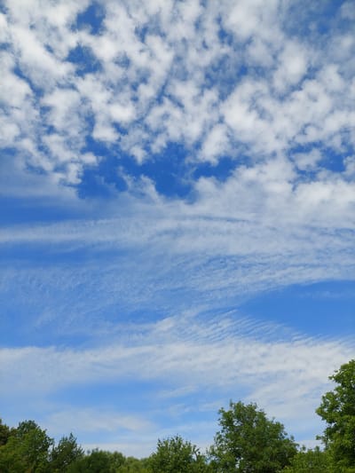 The image depicts a daytime sky with scattered clouds above a line of lush green trees. The sky is a vibrant blue, transitioning to lighter shades near the horizon. The clouds are varied, with some appearing fluffy and white, while others are wispy and streaky, suggesting a gentle breeze. The trees form a dense canopy, their leaves illuminated by sunlight. The bottom edge of the image is framed by the tops of these trees, with no other man-made structures or people visible. The scene suggests a natural, outdoor environment likely within the city of Shpychyntsi, Ukraine, during daylight hours.
