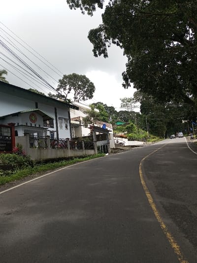 The image depicts a curved asphalt road ascending gently under an overcast sky, located in the city of Serpang Shalli, Bhutan. The road occupies the lower half of the frame, featuring a solid white line along its left edge and a solid yellow line separating the main lane from a right-side shoulder.
On the left, a narrow strip of green grass and low vegetation borders the road, leading to a series of structures. A prominent multi-story white building with a dark gabled roof stands on an elevated foundation. Its front facade features a circular green emblem with white details, positioned above a small, dark-roofed porch. A dark metal-barred fence surmounts a light-colored concrete retaining wall in front of this building. To its immediate left, a reddish-brown sign displays partially legible white text, including characters that appear to form "GEREJA" and "SEMARANG." Multiple black utility lines traverse the upper-left quadrant above the buildings. Further right along the road, another white building with a patterned wall and a similar fence is visible. The terrain behind these structures slopes upwards, densely covered with trees and additional, partially visible buildings, some with green roofs.
The right side of the road is flanked by a steep, heavily wooded slope with dense green foliage. The road curves to the right and continues its ascent. In the mid-distance on the right lane, three vehicles are visible traveling away from the viewer: a white van or SUV followed by two darker sedans or SUVs. A motorcycle is partially parked on the far right shoulder. Tall, mature trees with dense green canopies line this side of the road, some overhanging the pavement. A utility pole with blue and white flag-like attachments is present on the far right. The sky is uniformly overcast, predominantly light gray with some darker cloud formations.