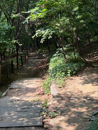 The image shows a wooded hiking trail in Seoul, South Korea. The trail is made of wooden steps and dirt paths, with trees and foliage lining both sides. The sunlight filters through the leaves, creating dappled shadows on the ground. There are no people or animals visible in the image. The scene appears peaceful and natural, suggesting a recreational area within the city.