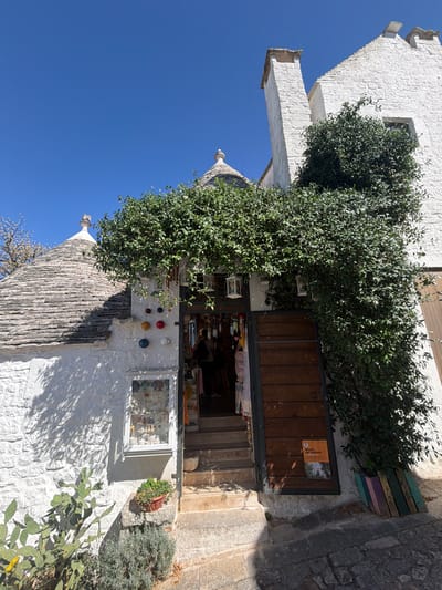 The image captures a sunlit street scene in Alberobello, Italy, featuring the iconic trulli buildings. In the foreground, a white trullo structure has a conical grey-tiled roof topped with a decorative finial. Ivy and other lush green foliage are growing abundantly over the white facade and around the entrance to a shop. The shop's entrance is a set of wooden double doors, currently open, revealing a glimpse of goods and a person or two inside. Steps lead up to the entrance. To the left of the shop, a small window display case is mounted on the white wall, showcasing various items. Below this, a prickly pear cactus with a yellow flower stands beside a planter with greyish-green shrubs. Further to the left, another trullo roof is visible. To the right of the shop entrance, a sign on the wooden door reads "MUSEO del TERRITORIO Alberobello". The ground is paved with cobblestones, and the sky above is a clear, bright blue.