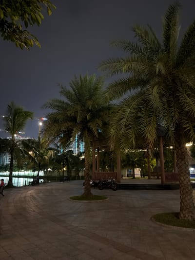 A nighttime scene depicts a paved plaza with several palm trees. In the foreground, a large palm tree trunk is visible on the right. The plaza curves to the left, where a person is seated on a bench. A body of water with reflections is visible beyond the plaza. In the middle ground, two motorcycles are parked near a raised wooden structure that resembles a gazebo or pavilion. Several more palm trees are scattered throughout the scene. In the background, modern buildings with illuminated windows and construction cranes are visible, suggesting an urban environment. The sky is dark and appears overcast. The image was taken in Hanoi, Vietnam.