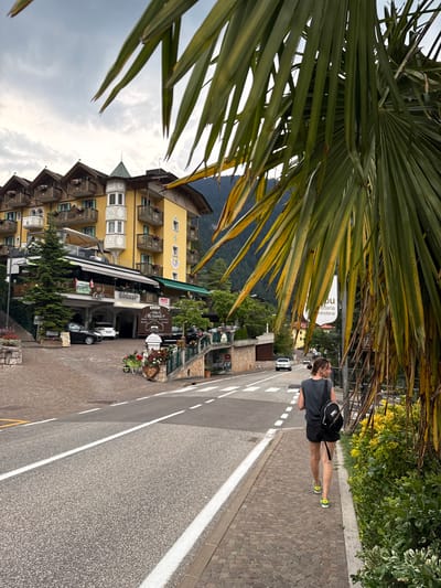 A person walks along a paved sidewalk next to a road. The person is wearing a dark t-shirt, black shorts, and bright yellow and green sneakers, with a black bag slung over their shoulder. They are facing away from the camera and looking to the right. Behind the person, lush green foliage from a large palm frond hangs over the scene, partially obscuring the view.

The setting is a street in Molveno, Italy, with a multi-story building in the background. This building is painted a bright yellow and features multiple balconies with wooden railings and flower boxes. It appears to be a hotel, with signs indicating "Hotel Alexander," "Ristorante," and "Cafe." The street has a white line marking its edge and pedestrian crossing lines. Other cars are visible on the road. The weather appears to be partly cloudy, with some sunlight breaking through the clouds. The time of day seems to be late afternoon or early evening, given the lighting. The overall atmosphere is tranquil and picturesque, suggesting a vacation or leisure setting.