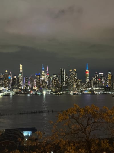 The image displays a nighttime panoramic view of the New York City skyline, specifically Midtown Manhattan, observed from an elevated vantage point in Weehawken, New Jersey. The sky is dark and uniformly overcast, lacking visible stars. The distant urban landscape is a dense cluster of illuminated skyscrapers and buildings, reflecting extensively in the Hudson River below. Prominent structures include the Empire State Building, its spire illuminated in red, white, and blue segments, positioned towards the right side of the visible skyline. To the left of the Empire State Building, One Vanderbilt is visible, distinguished by its white and gold illuminated architectural top. Other notable structures like the Bank of America Tower with its blue tip are also discernable. The Hudson River, occupying the mid-ground, shows multiple lines of dark, vertical wooden pilings, remnants of former piers or docks. In the foreground, a large deciduous tree with scattered yellowish-brown foliage occupies the lower right and central portions of the frame, partially obscuring illuminated structures located immediately below the elevated viewpoint within Weehawken. No individuals or active interactions are visible.