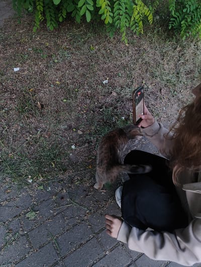 In Svietlahorsk, Belarus, a person with long, curly, reddish-brown hair is sitting on a paved surface next to a patch of dry grass and fallen leaves. The person is wearing a light beige hooded sweatshirt and black pants, and is holding up a smartphone in their right hand, seemingly recording or taking a picture of a multi-colored cat. The cat, predominantly brown and grey with some lighter patches, is positioned between the person's legs, looking towards the phone. The background consists of green foliage from a tree or bush and the textured paved ground. The scene appears to be outdoors, possibly a park or a residential area, during daylight hours.